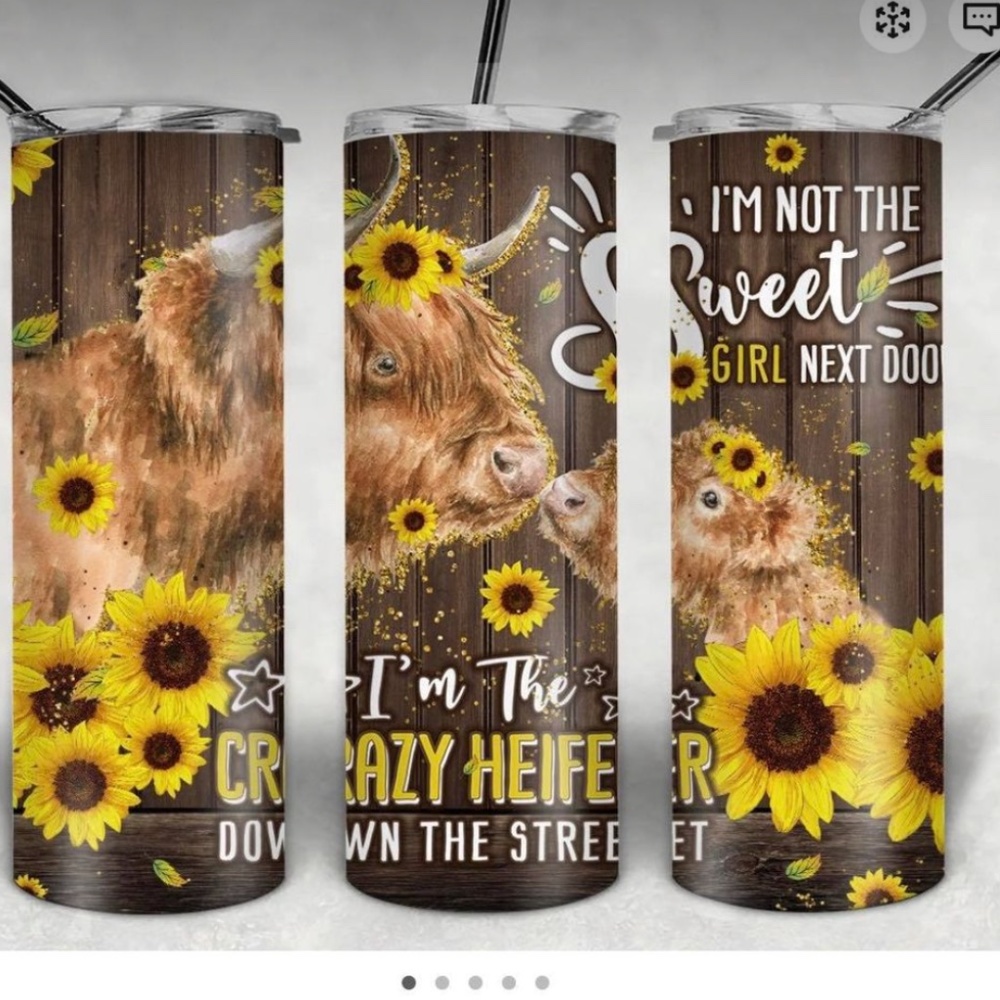 I'm the Crazy Heifer down the Street 20oz Straight Tumbler with a Straw included
